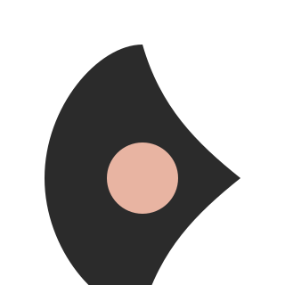 crescent 1 usdtflashsoftwares.site